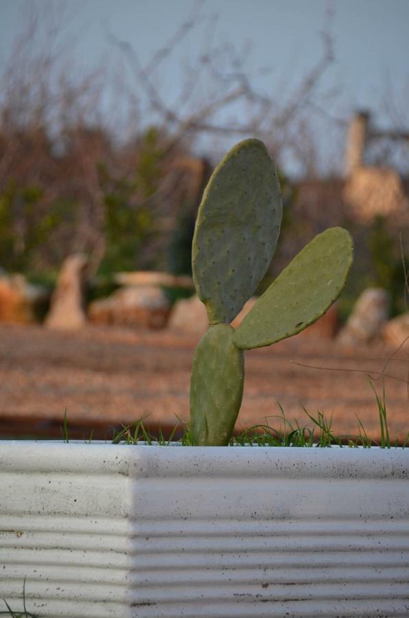 Masseria Poli Country House Conversano Eksteriør billede
